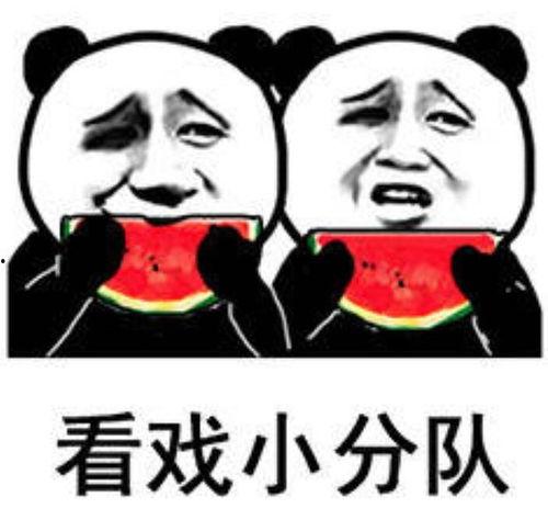 吃瓜骗人表情包,网络笑料背后的真相与影响