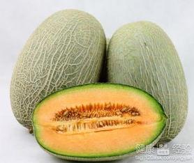 苏醒吃哈密瓜,苏醒畅享哈密瓜美味时光
